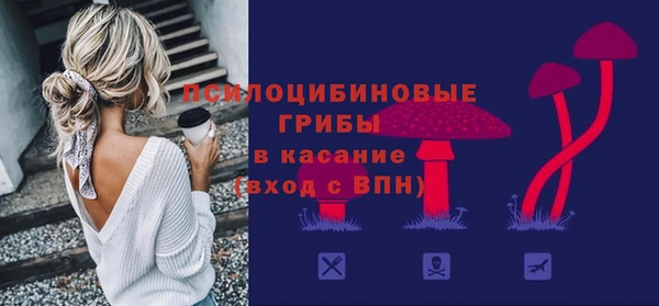 молекула духа Алзамай