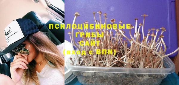 молекула духа Алзамай
