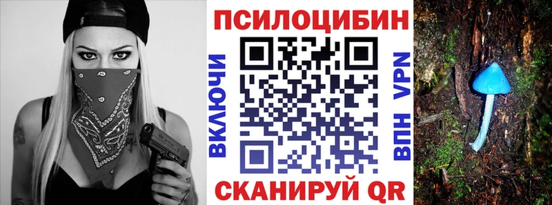 Купить закладки  Ртищево  Галлюциногенные грибы мухоморы 